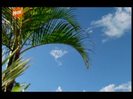 vlcsnap-00263