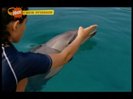 vlcsnap-00292