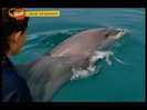 vlcsnap-00293