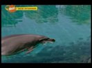 vlcsnap-00296