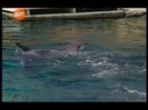 vlcsnap-00301