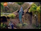 vlcsnap-00460
