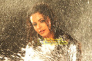 still31