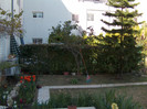 HPIM0470
