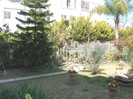 HPIM0471