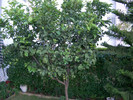 HPIM2700