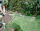PIC00005