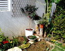 PIC00006