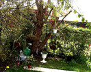 PIC00017
