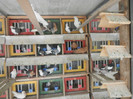 DSCN8007