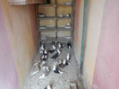 DSCN8028