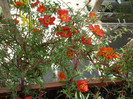 P1160282