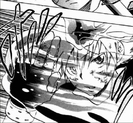 tsuna 11