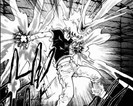tsuna 13