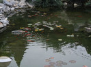 Picture 5223