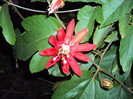 DSC00739