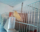 37051458_YJXIGIJKX