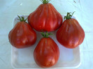 RED TRUFLE