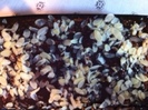 ..tort de biscuiti..