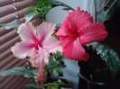 P180912_06.31_[04]
