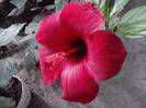 P190912_13.13_[01]