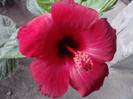 P190912_13.13_[02]