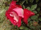 P190912_06.38_[03]