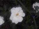 P210912_15.41_[07]