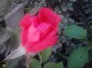 P210912_15.46_[02]