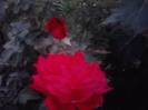 P210912_15.52_[01]