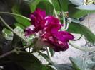 P180912_06.27_[02]