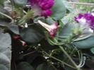 P180912_06.27_[03]