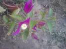P210912_15.38_[02]