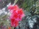 P210912_15.39_[01]