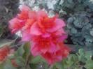 P210912_15.39_[02]