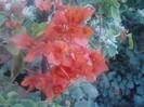 P210912_15.39_[03]