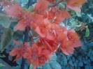 P210912_15.39_[04]
