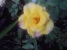 P210912_15.41_[01]