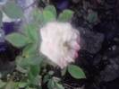 P210912_15.41_[02]
