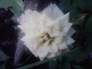 P210912_15.41_[03]