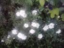 P210912_15.41_[04]