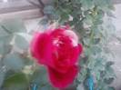 P210912_15.42_[02]