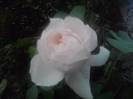 P210912_15.45_[02]