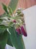 P230912_06.37_[01]