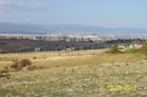 100_8939