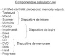 tema informatica