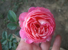 Souvenir de Lucien Massad