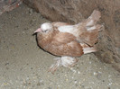 SAM_3050