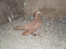 SAM_3041