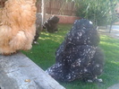 2012-09-27 14.20.53